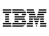 sponsor ibm 2013 big
